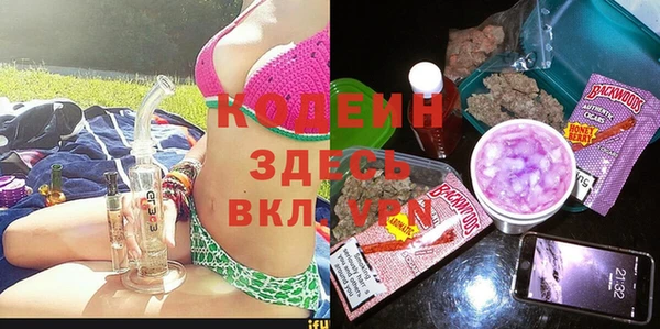 гашик Алексин
