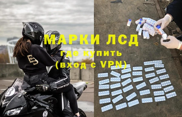 гашик Алексин