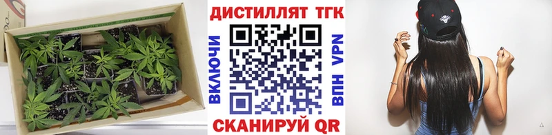 наркошоп Приозерск Дистиллят ТГК концентрат
