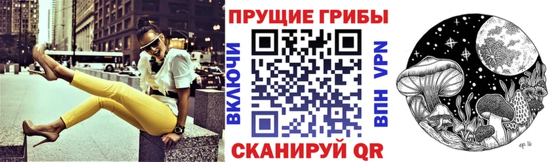 купить закладку  Приозерск  Галлюциногенные грибы Psilocybine cubensis 